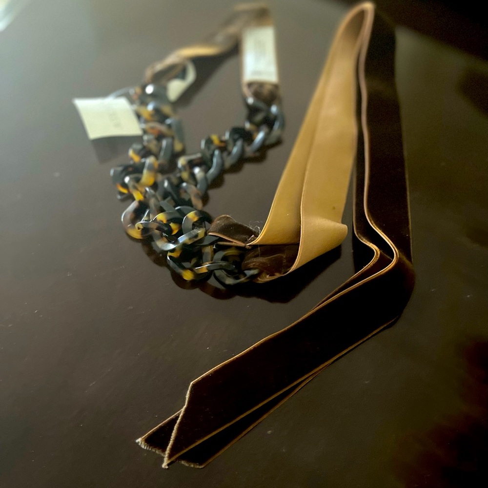 Velvet and Tortoise shell belt